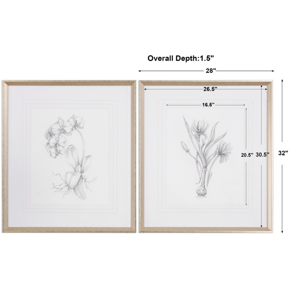 Botanical Sketches Framed Prints S/2