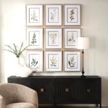 Botanical Flowers-Botanical Prints