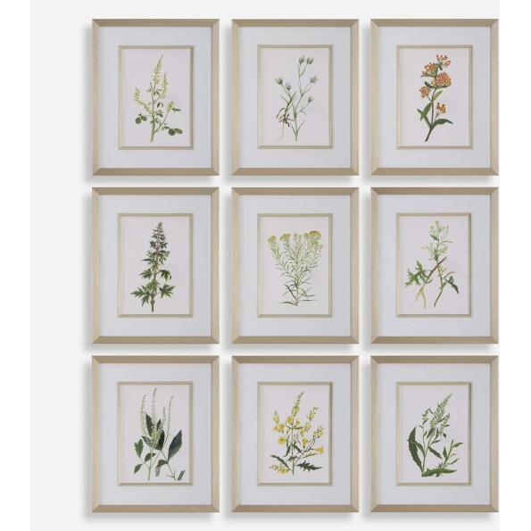 Botanical Flowers-Botanical Prints