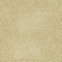 PK-BOTTY/GOLD – Fabric