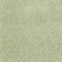 PK-BOTTY/GREEN – Fabric