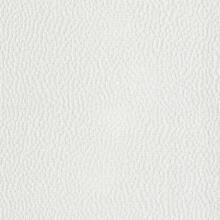 PK-BOTTY/WHITE – Fabric