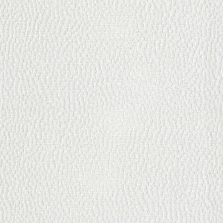 Pk-Botty/White - Upholstery Only Fabric Suitable For Upholstery And Pillows Only.   - Dallas