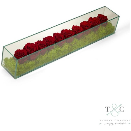 Burgundy Preserved Roses in Rectangle Glass - 24L x 4W x 4L Floral Arrangement