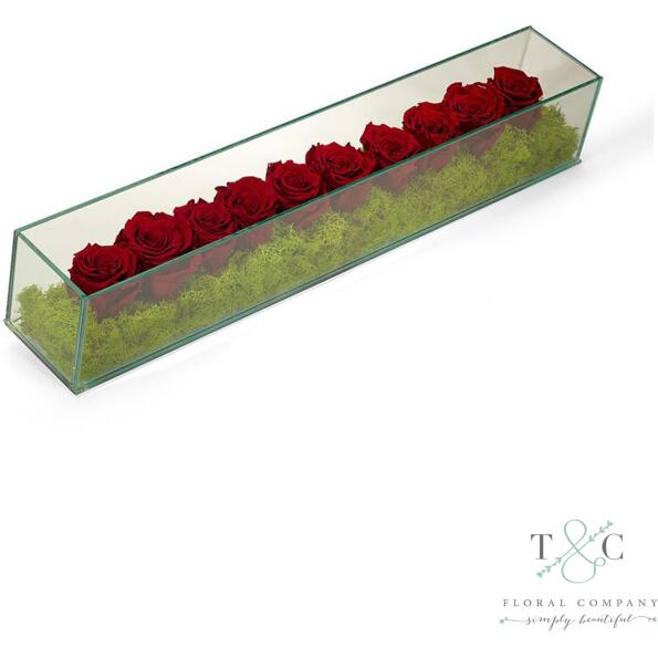 Burgundy Preserved Roses In Rectangle Glass - 24L X 4W X 4L Floral Arrangement