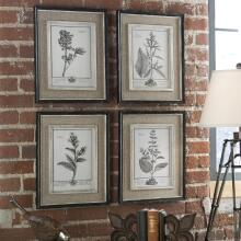 Casual Grey Study-Floral Art
