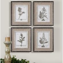 Casual Grey Study-Floral Art