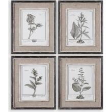 Casual Grey Study-Floral Art