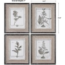 Casual Grey Study-Floral Art