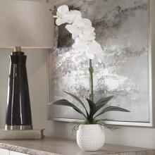 Cami Orchid-Botanicals