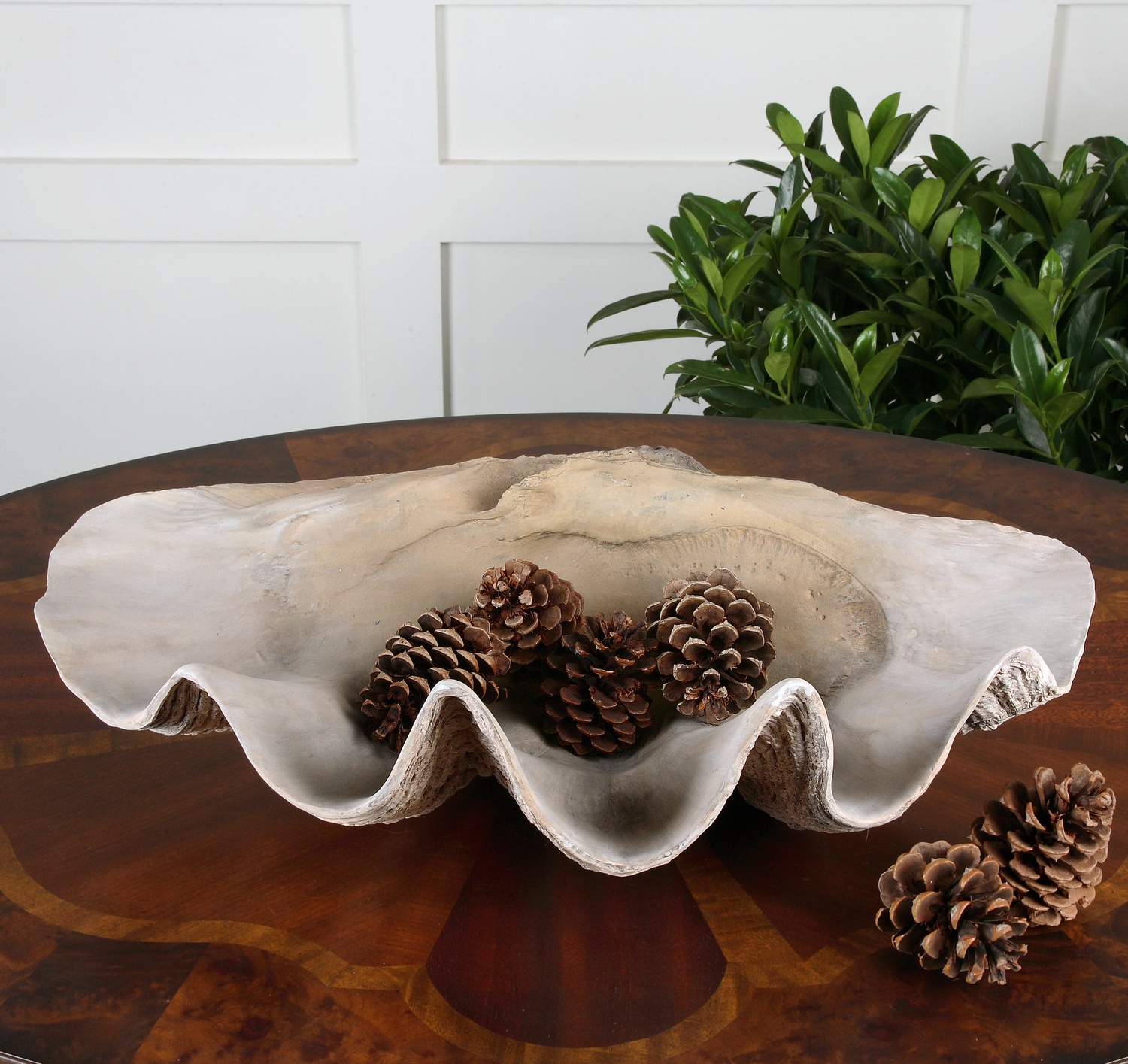 Clam-Decorative Bowls & Trays