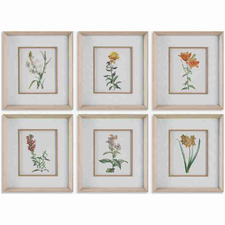 Classic Botanicals-Botanical Prints