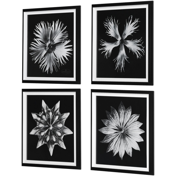 Contemporary Floret Framed Prints