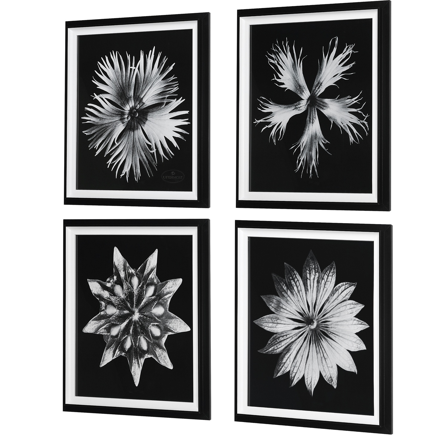 Contemporary Floret-Floral Prints