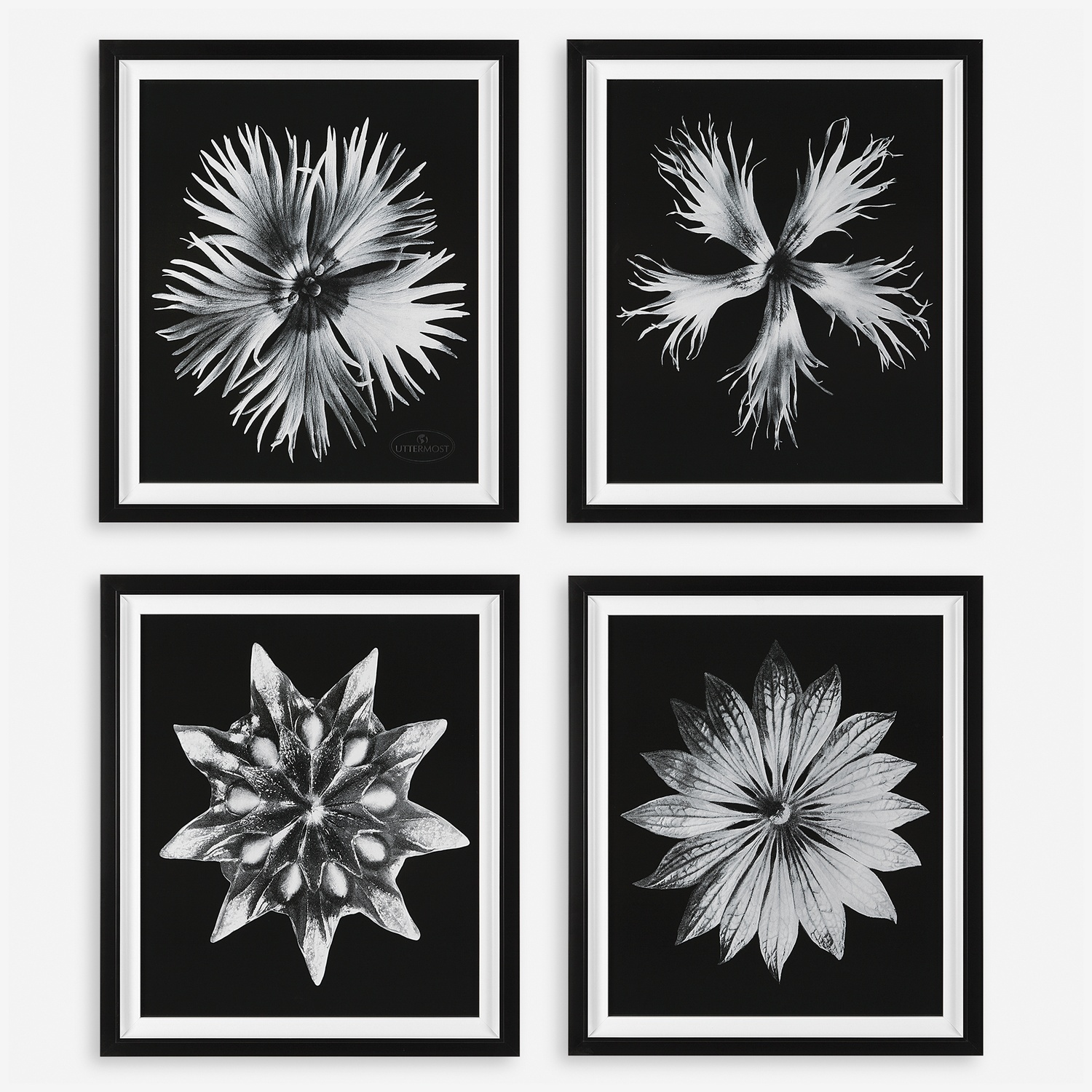 Contemporary Floret-Floral Prints