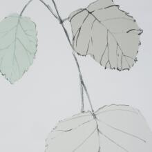 Come What May-Leaf / Floral Art