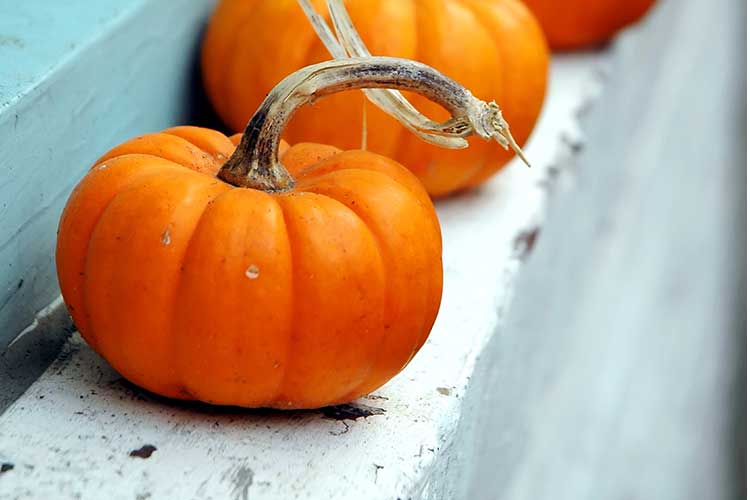 Creative Ways To Add A Little Fall To Your Home This Season