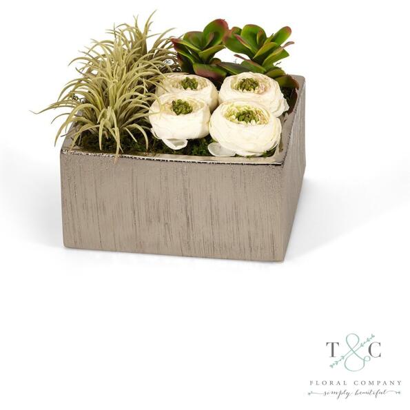 Cream Cabbage Roses in Silver Square - 8L x 8W x 5H Floral Arrangement