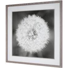 Dandelion Seedhead-Floral Prints