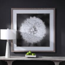 Dandelion Seedhead-Floral Prints