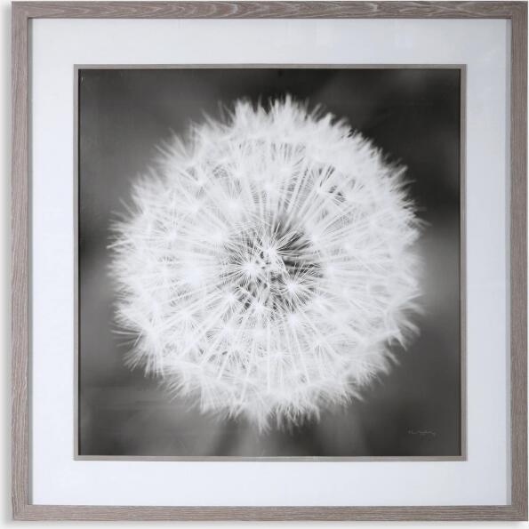 Dandelion Seedhead-Floral Prints