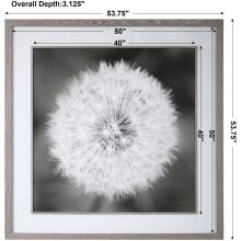 Dandelion Seedhead-Floral Prints