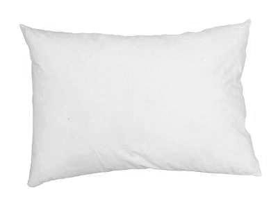 Down & Feather 14x20 - Pillows/Pillow Inserts/Down & Feather