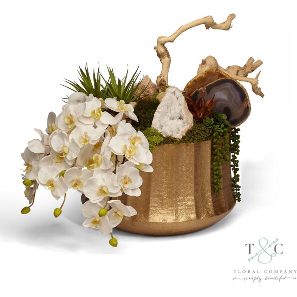 Draped Orchids in Gold Embellished Container with Quartz - 27L x 18W x 21H Floral Arrangement