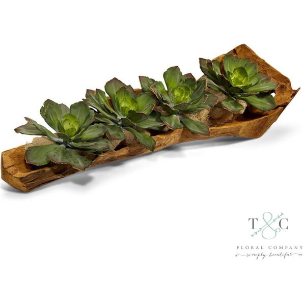 Echeveria Succulents In A Wood Log - 40L X 10W X 10H Floral Arrangement