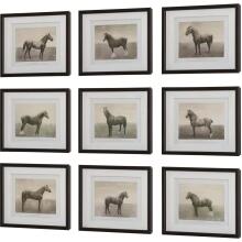 Equine Dynasty-Horse Prints
