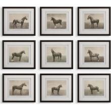 Equine Dynasty-Horse Prints