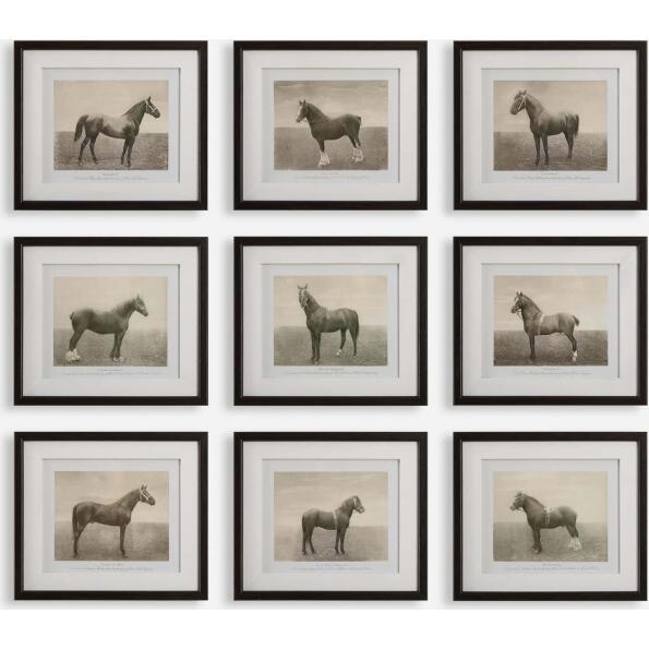 Equine Dynasty-Horse Prints