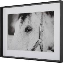 Eye Of The Beholder-Horse Prints