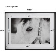Eye Of The Beholder-Horse Prints