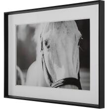 Eyes On The Prize-Horse Prints