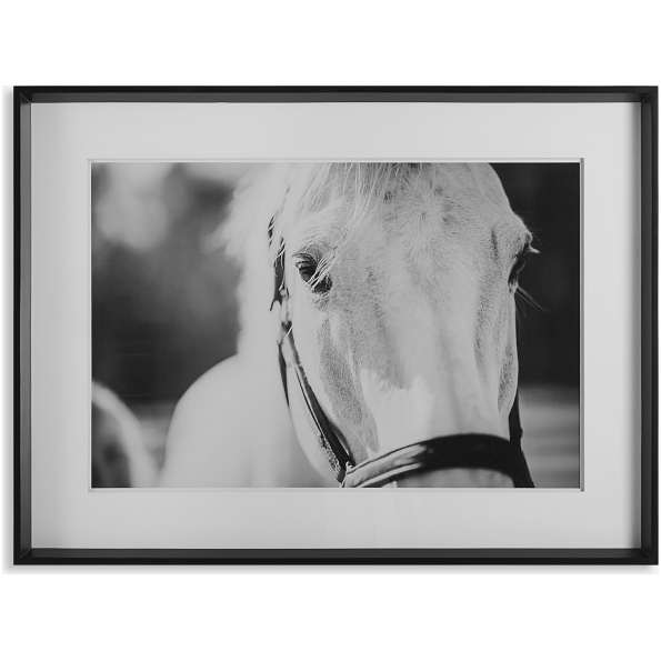 Eyes On The Prize-Horse Prints