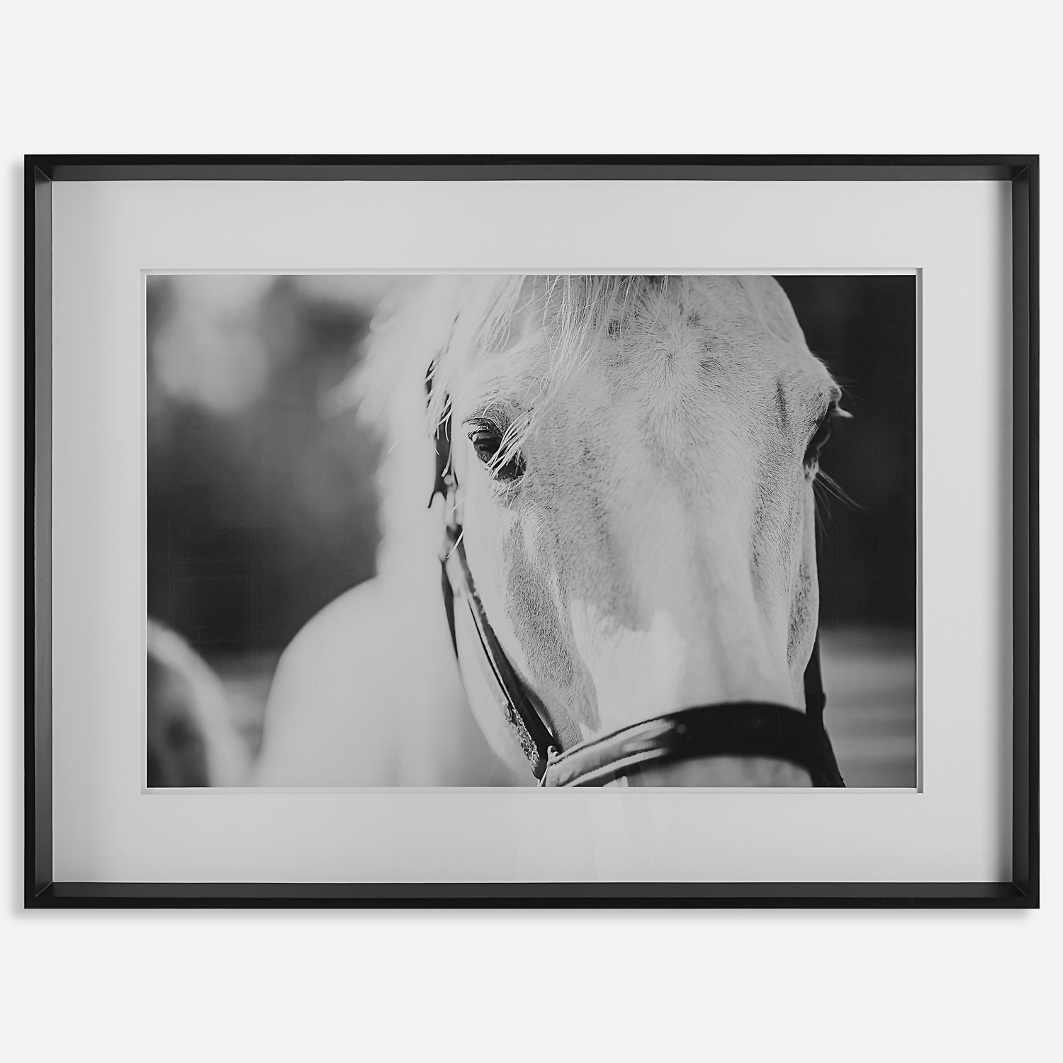 Eyes On The Prize-Horse Prints