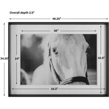Eyes On The Prize-Horse Prints