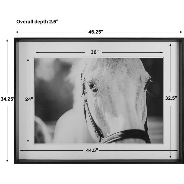 Eyes On The Prize Framed Print