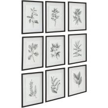 Farmhouse Florals-Botanical Prints