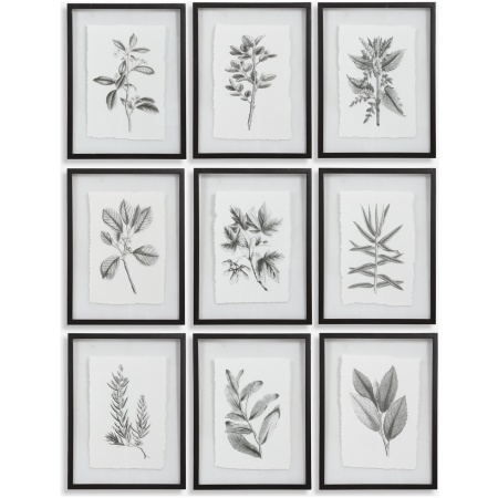 Farmhouse Florals-Botanical Prints
