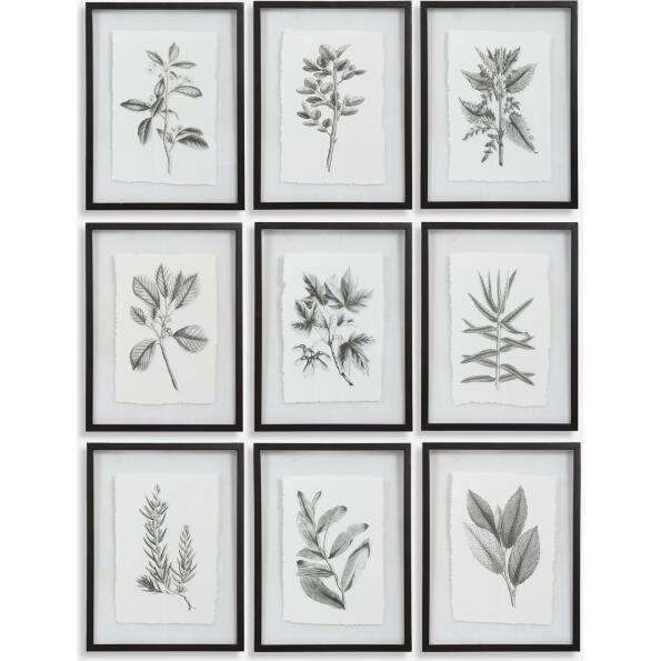 Farmhouse Florals-Botanical Prints