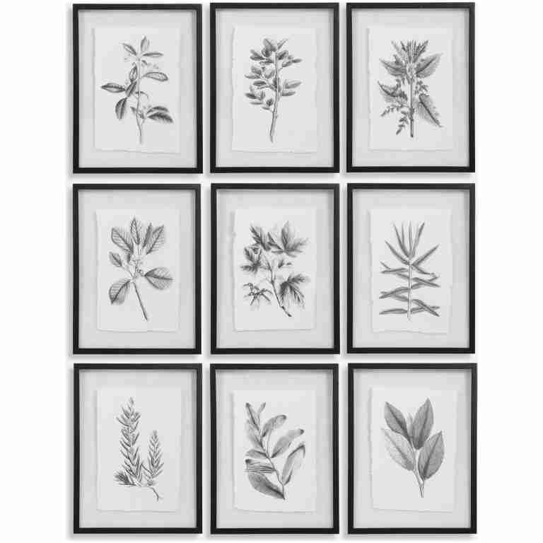Farmhouse Florals-Botanical Prints