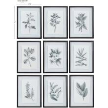 Farmhouse Florals-Botanical Prints
