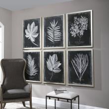 Foliage-Leaf Prints