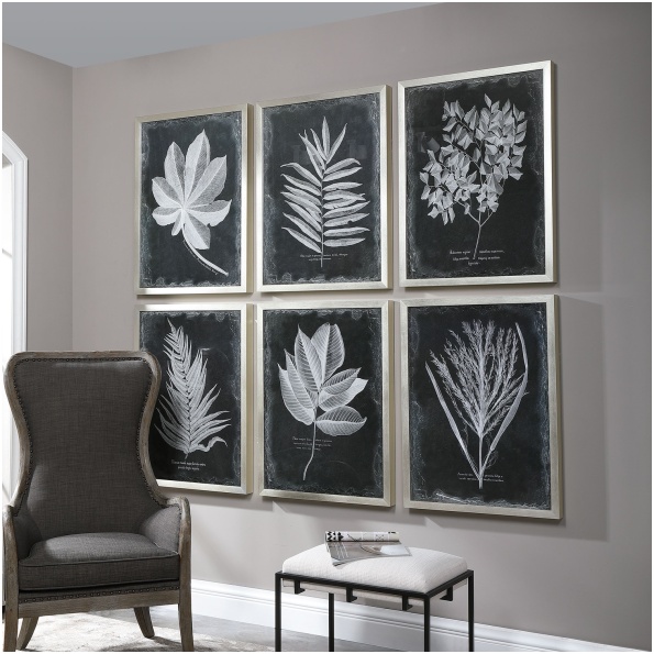 Foliage Framed Prints
