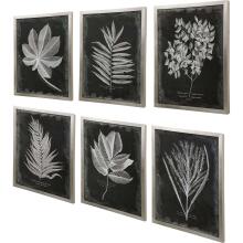 Foliage-Leaf Prints