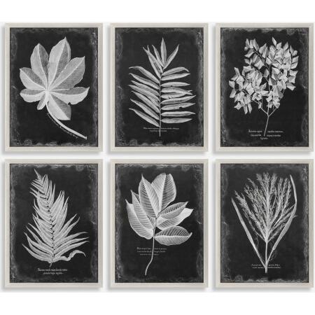 Foliage-Leaf Prints