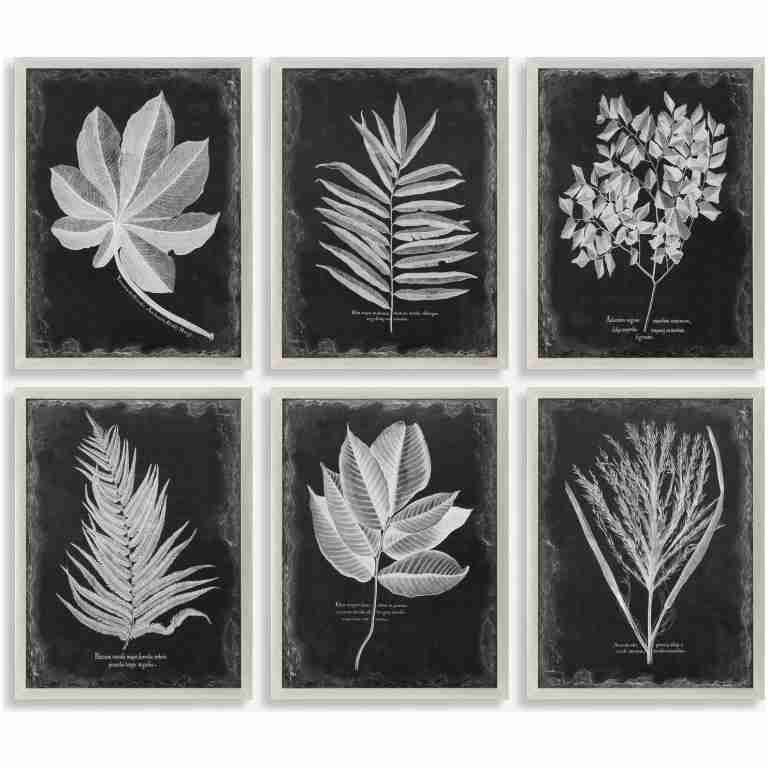 Foliage-Leaf Prints