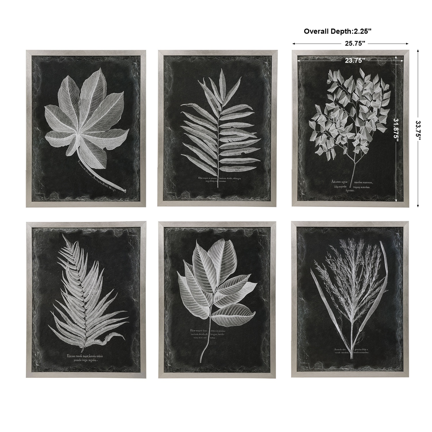Foliage-Leaf Prints